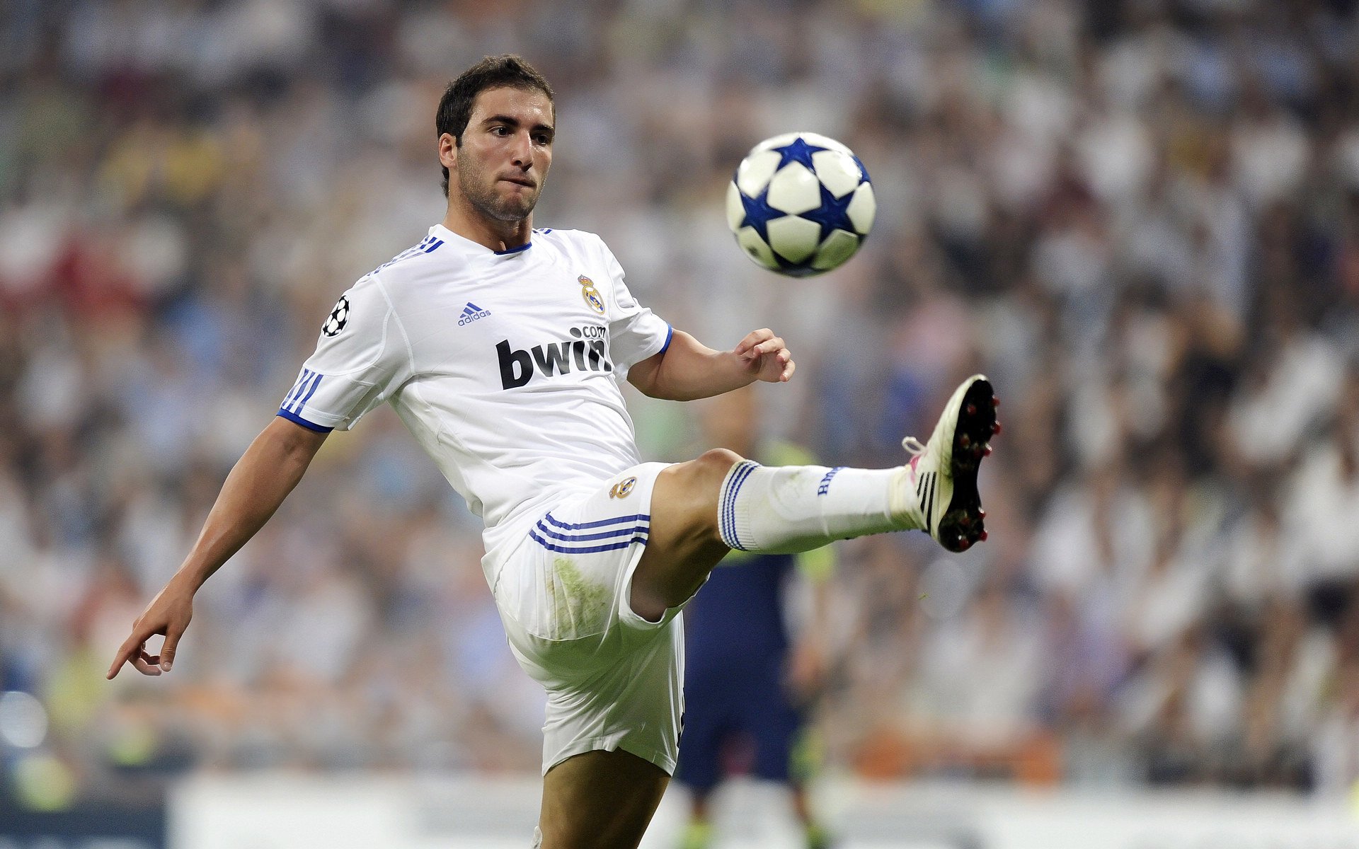 《电竞行业人才需求激增：从培训到职业路径全解析》，电竞人才的发展前景